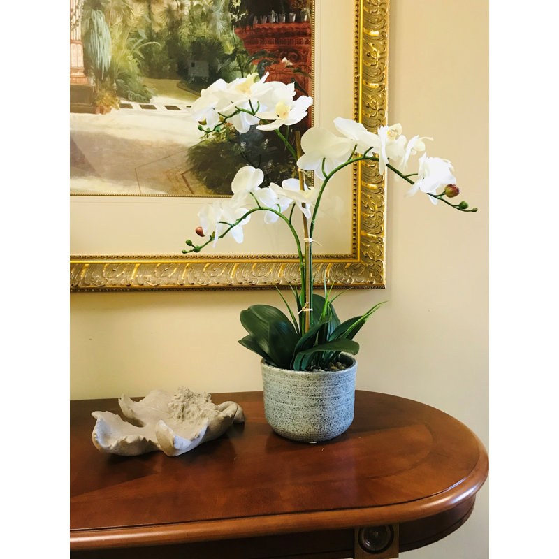 Ophelia & Co. Artificial Orchids Plant in Pot & Reviews Wayfair.ca